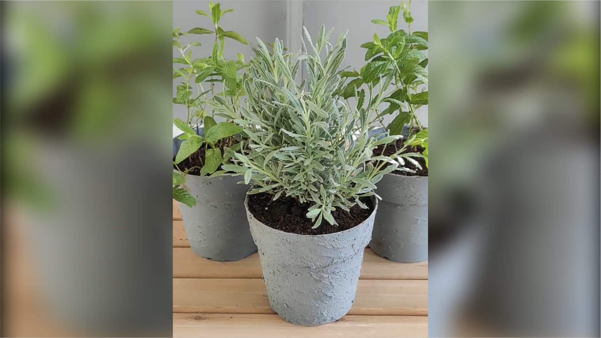 Γλάστρα με Cement | Flower Pot with Cement Maxidecor